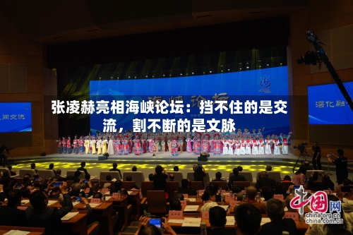 张凌赫亮相海峡论坛：挡不住的是交流，割不断的是文脉-第3张图片