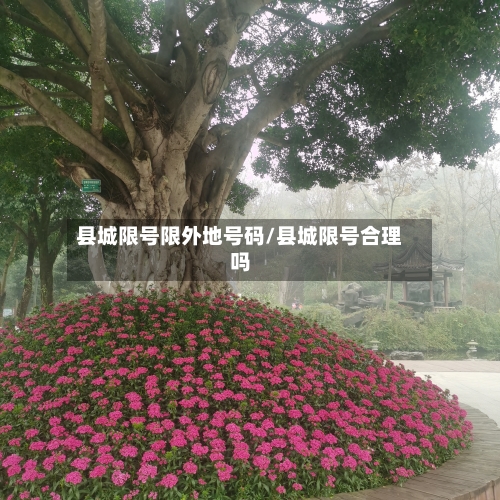 县城限号限外地号码/县城限号合理吗