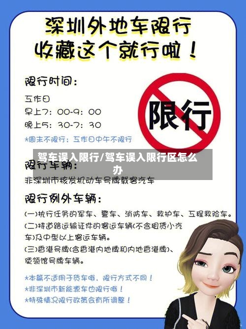 驾车误入限行/驾车误入限行区怎么办-第3张图片