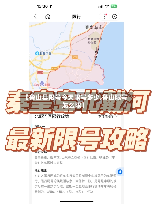 【鲁山县限号今天限号多少,鲁山限号怎么限】-第3张图片