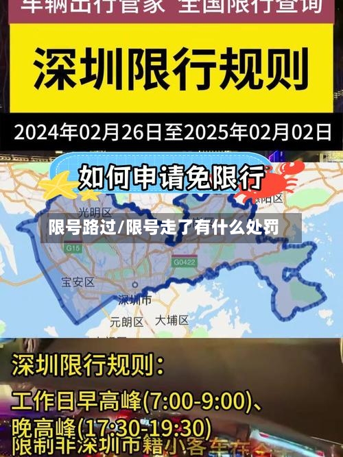 限号路过/限号走了有什么处罚-第2张图片