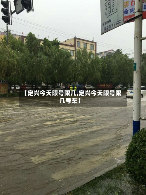【定兴今天限号限几,定兴今天限号限几号车】-第2张图片