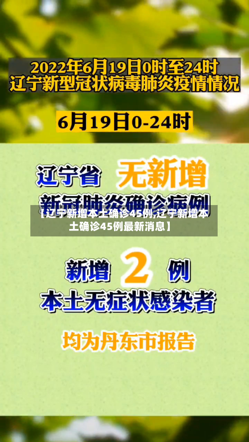 【辽宁新增本土确诊45例,辽宁新增本土确诊45例最新消息】-第2张图片