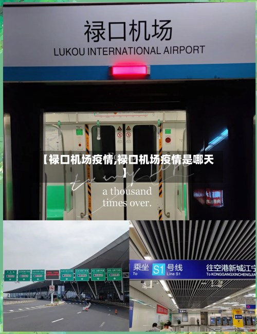 【禄口机场疫情,禄口机场疫情是哪天】-第2张图片