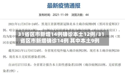 31省区市新增14例确诊本土12例/31省区市新增确诊14例 其中本土9例