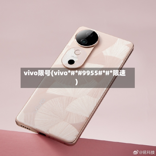 vivo限号(vivo*#*#9955#*#*限速)-第2张图片