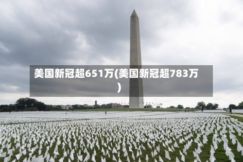 美国新冠超651万(美国新冠超783万)-第3张图片