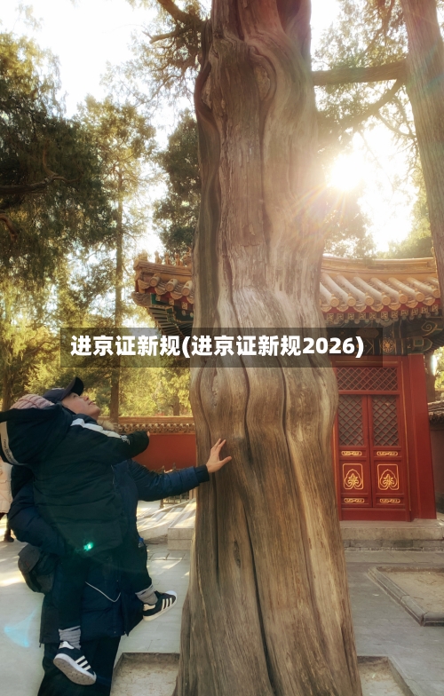 进京证新规(进京证新规2026)