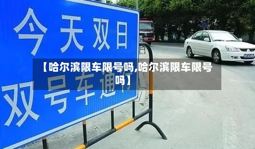 【哈尔滨限车限号吗,哈尔滨限车限号吗】-第2张图片