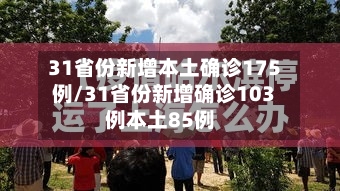 31省份新增本土确诊175例/31省份新增确诊103例本土85例