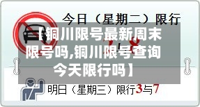 【铜川限号最新周末限号吗,铜川限号查询今天限行吗】-第3张图片