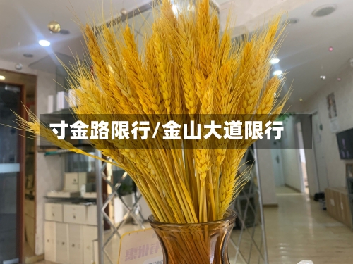 寸金路限行/金山大道限行-第2张图片