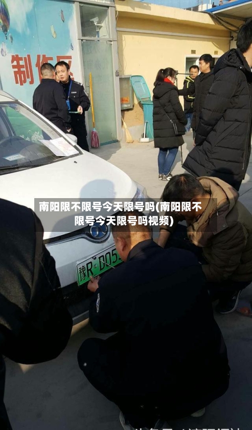 南阳限不限号今天限号吗(南阳限不限号今天限号吗视频)-第2张图片