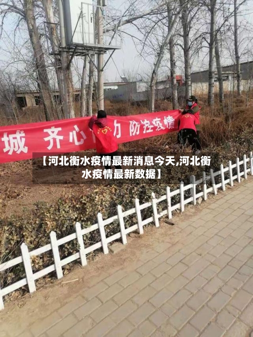 【河北衡水疫情最新消息今天,河北衡水疫情最新数据】
