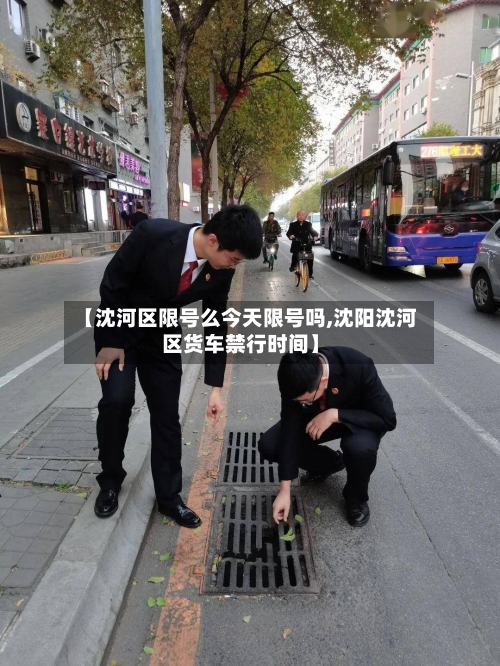 【沈河区限号么今天限号吗,沈阳沈河区货车禁行时间】-第3张图片