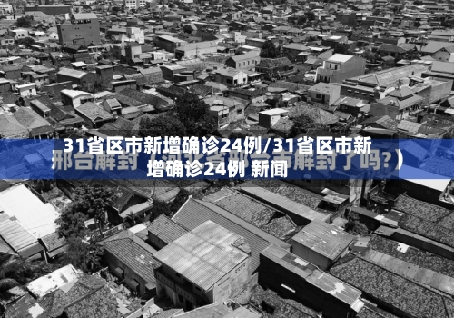 31省区市新增确诊24例/31省区市新增确诊24例 新闻