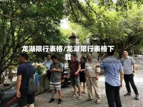 龙湖限行表格/龙湖限行表格下载