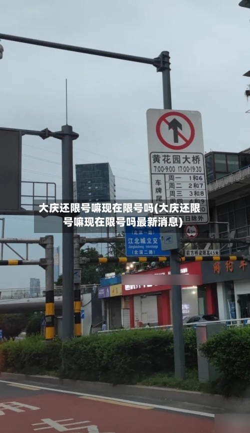 大庆还限号嘛现在限号吗(大庆还限号嘛现在限号吗最新消息)-第3张图片