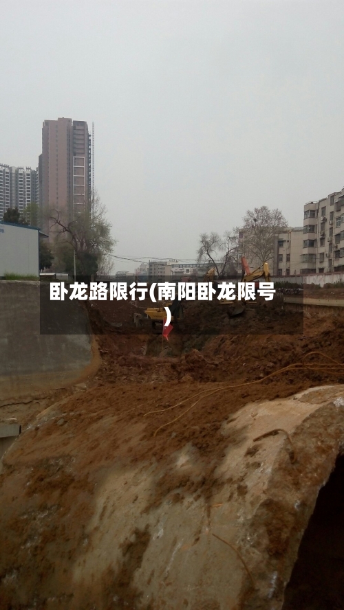 卧龙路限行(南阳卧龙限号)-第3张图片