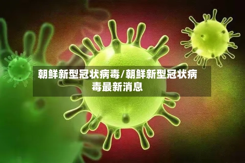 朝鲜新型冠状病毒/朝鲜新型冠状病毒最新消息