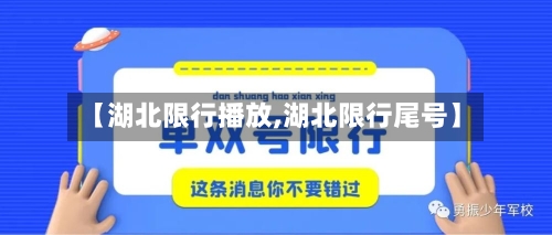 【湖北限行播放,湖北限行尾号】