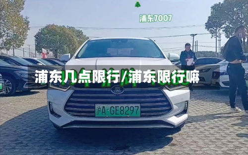 浦东几点限行/浦东限行嘛