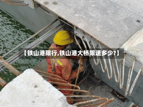 【铁山港限行,铁山港大桥限速多少?】-第2张图片
