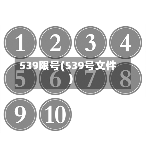 539限号(539号文件)-第3张图片
