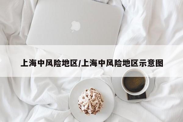 上海中风险地区/上海中风险地区示意图