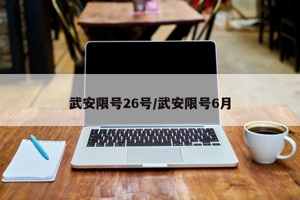 武安限号26号/武安限号6月