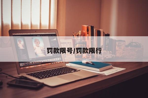 罚款限号/罚款限行