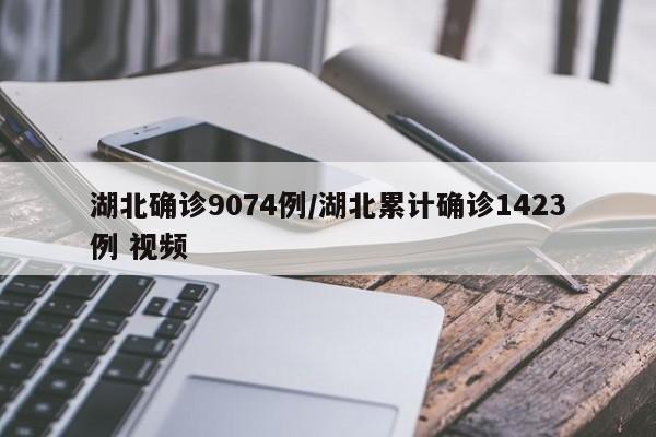 湖北确诊9074例/湖北累计确诊1423例 视频