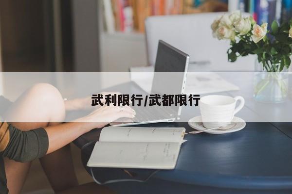 武利限行/武都限行