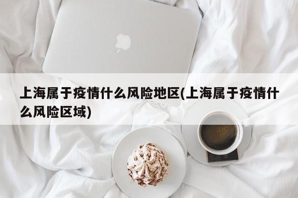上海属于疫情什么风险地区(上海属于疫情什么风险区域)