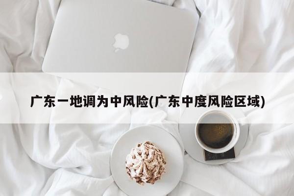 广东一地调为中风险(广东中度风险区域)