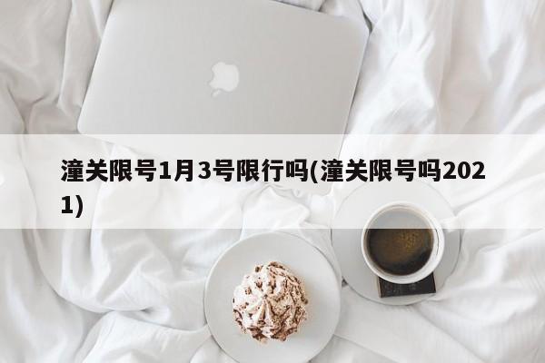 潼关限号1月3号限行吗(潼关限号吗2021)