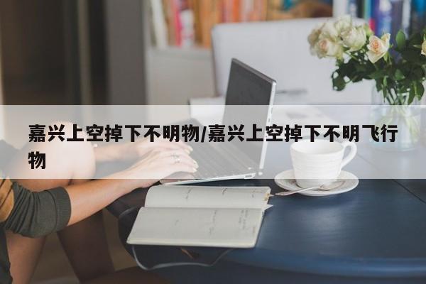 嘉兴上空掉下不明物/嘉兴上空掉下不明飞行物