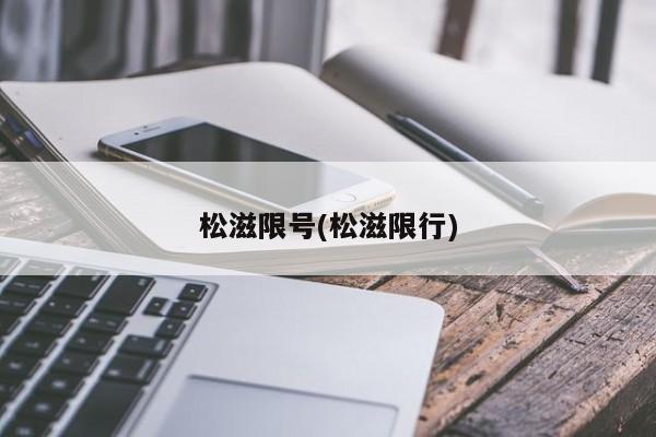 松滋限号(松滋限行)
