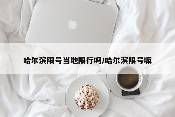 哈尔滨限号当地限行吗/哈尔滨限号嘛
